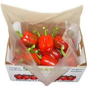 10kg Liner - Small - 350 per carton